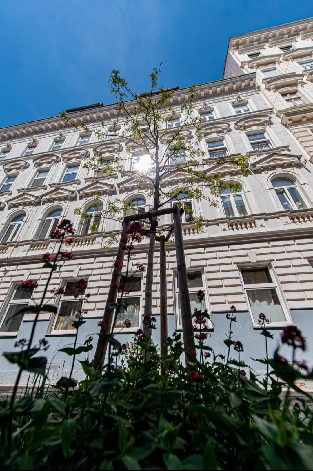Vienna My City Apartment 2Bedroom Eksteriør bilde